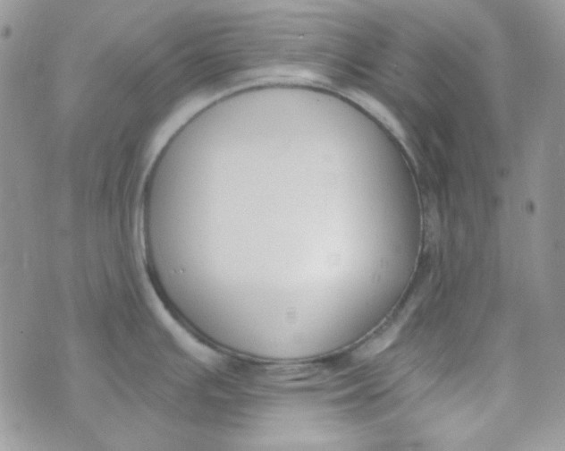 X0000074321391200609152021