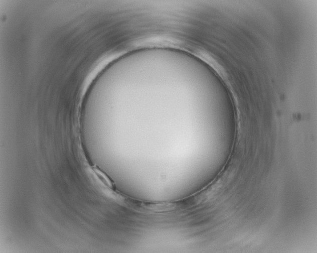 X0000074321392200609152021