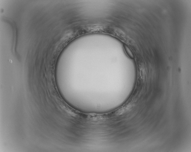 X0000074321393200609152020