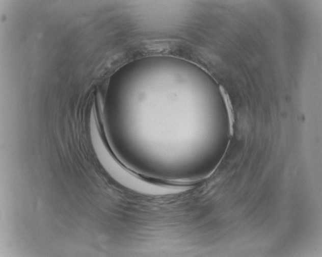 X0000074321394200609152020