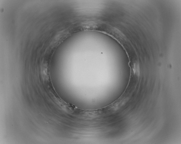 X0000074321396200609152020