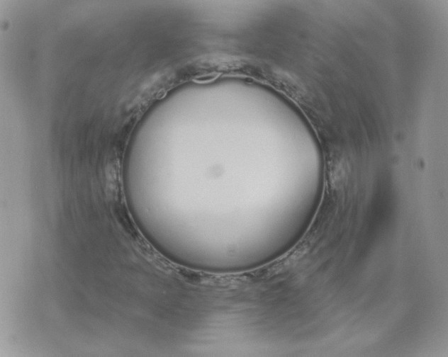 X0000074321397200609152020