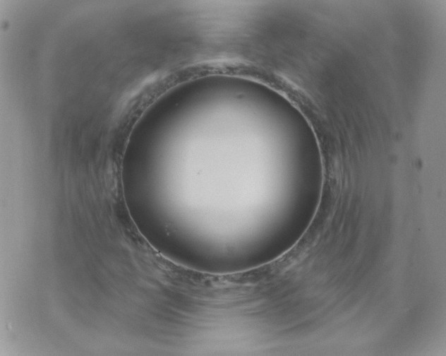 X0000074321398200609152020