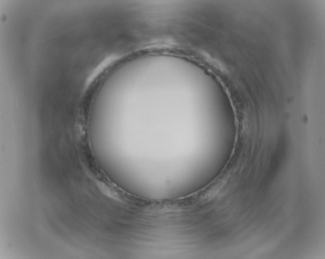 X0000074321400200609152020