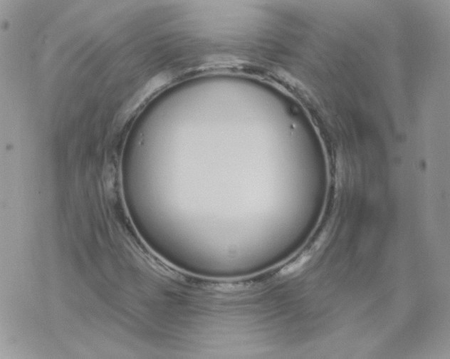 X0000074321401200609152020