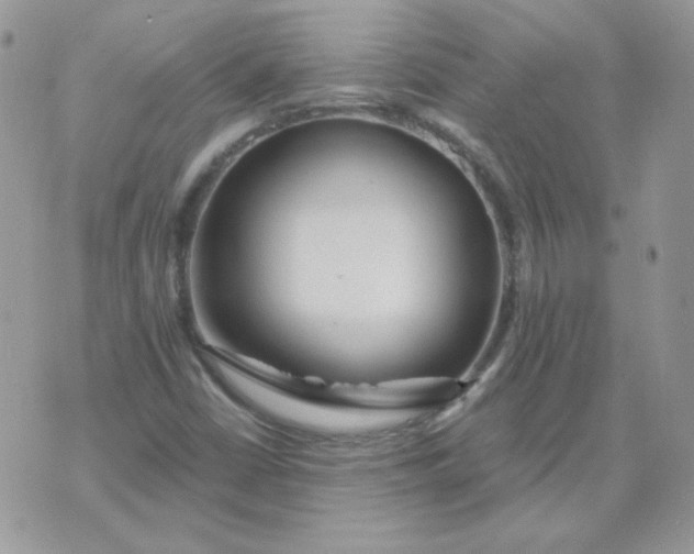 X0000074321402200609152020