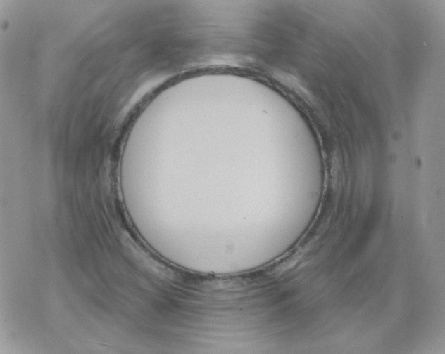 X0000074321404200609152020