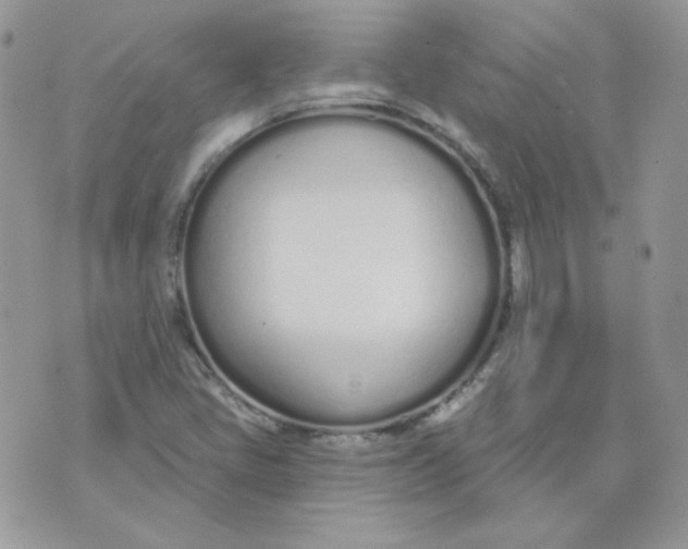 X0000074321405200609152020