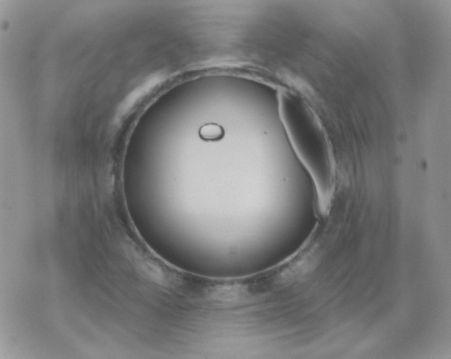 X0000074321406200609152020