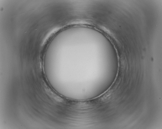 X0000074321408200609152020