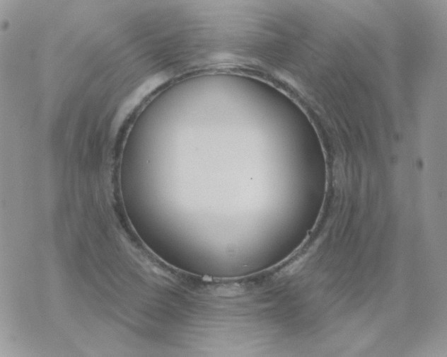 X0000074321410200609152020