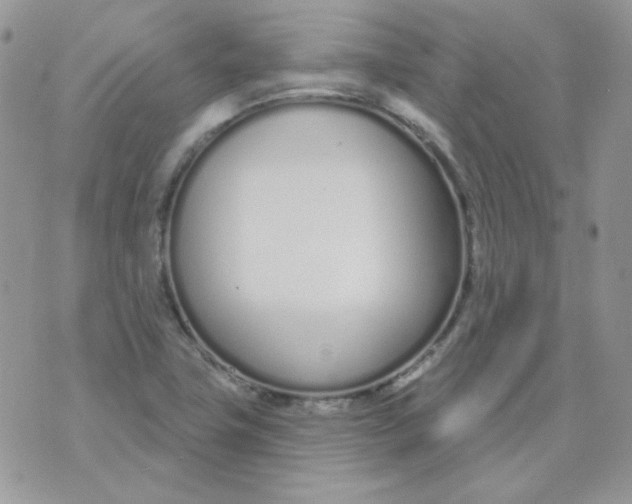 X0000074321411200609152020