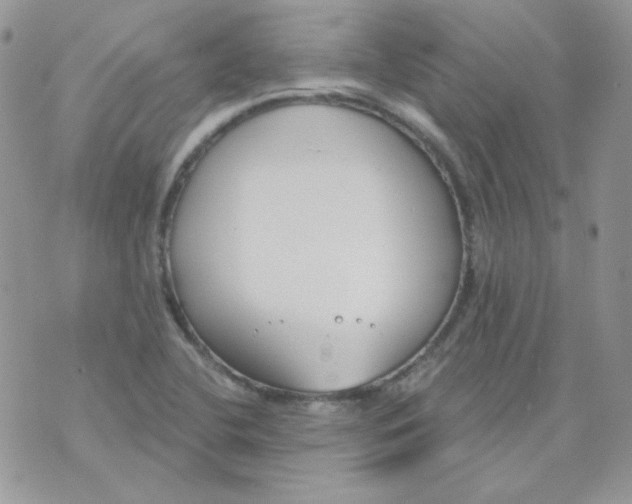 X0000074321412200609152020