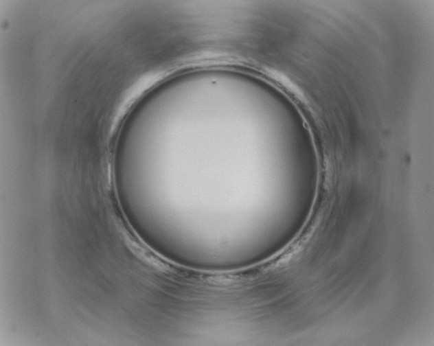 X0000074321413200609152020