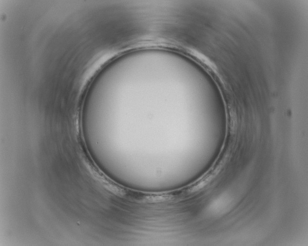 X0000074321415200609152020