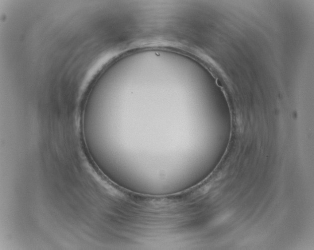 X0000074321416200609152020