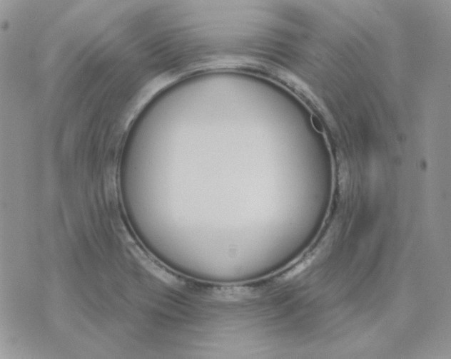 X0000074321417200609152020