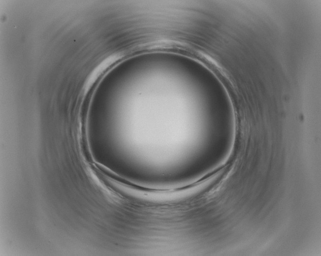 X0000074321418200609152020