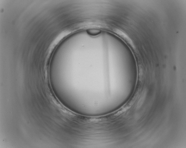 X0000074321419200609152020