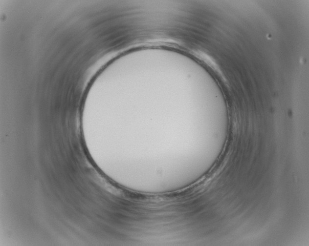 X0000074321420200609152020