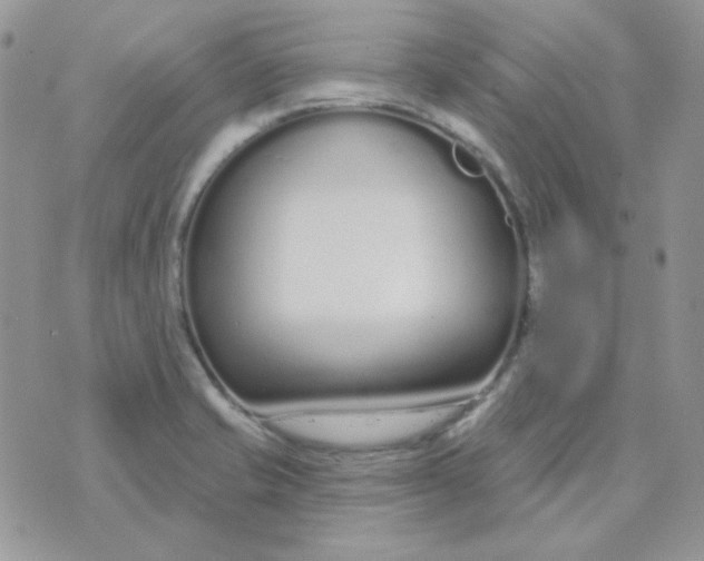 X0000074321421200609152020