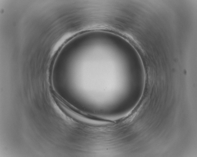 X0000074321422200609152020