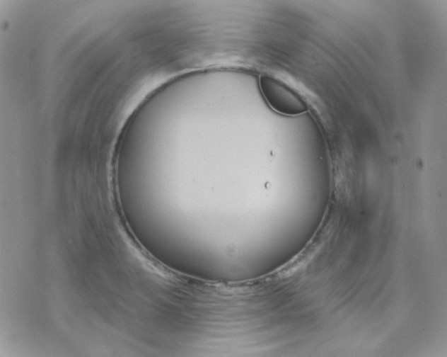 X0000074321423200609152020