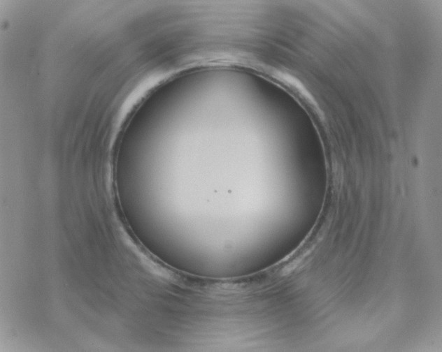 X0000074321424200609152020