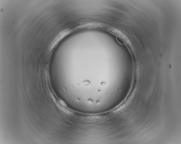 X0000074321425200609152021