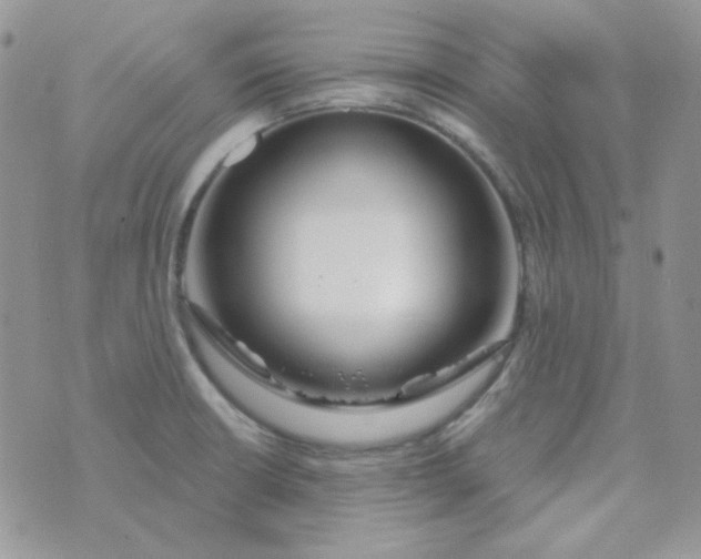 X0000074321426200609152021