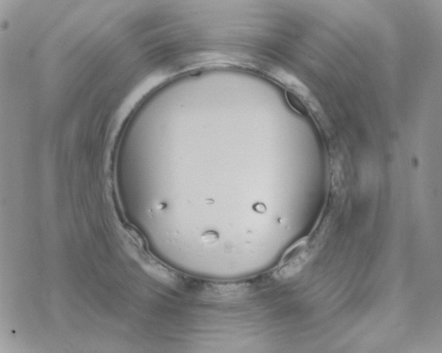 X0000074321427200609152021