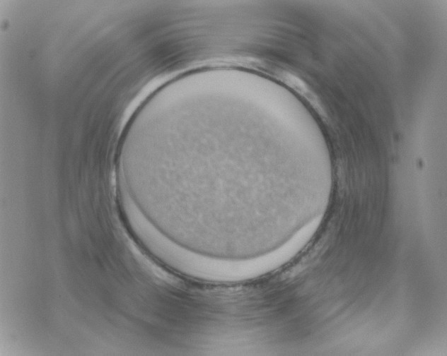 X0000074321428200609152021