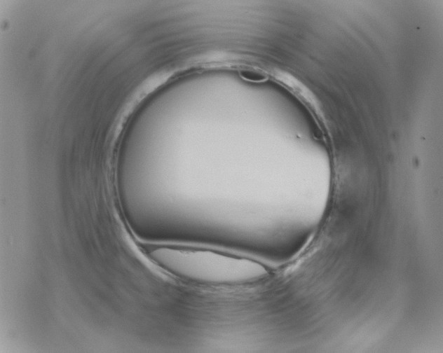 X0000074321429200609152021