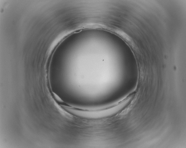 X0000074321430200609152021