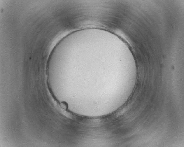 X0000074321431200609152021