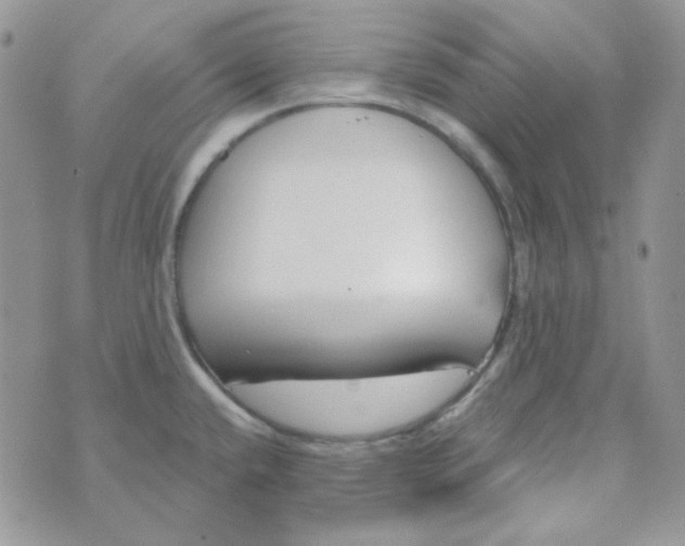 X0000074321432200609152021