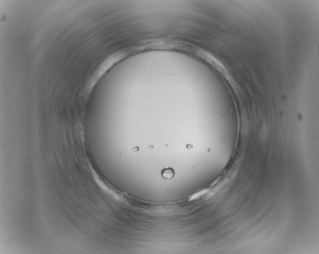 X0000074321433200609152021