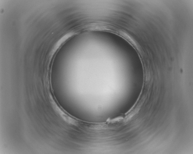 X0000074321434200609152021