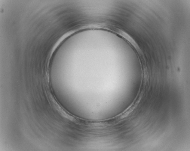 X0000074321436200609152021