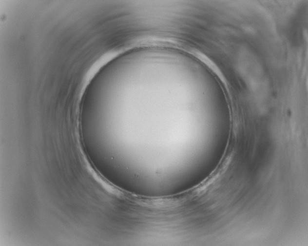 X0000074321437200609152021