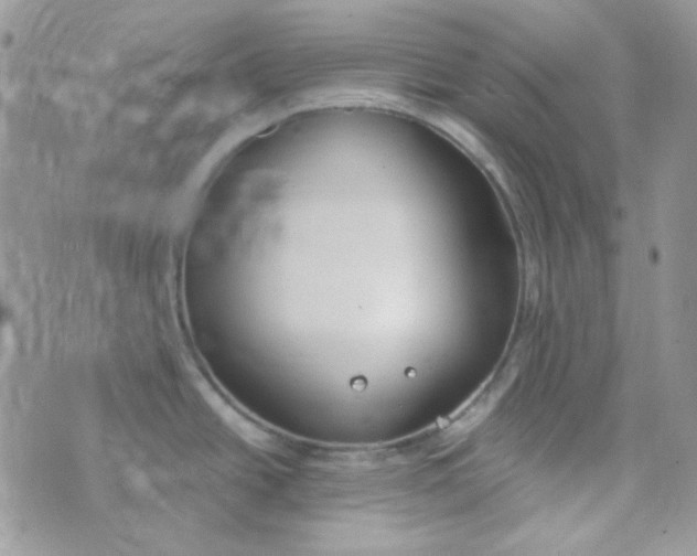 X0000074321438200609152021