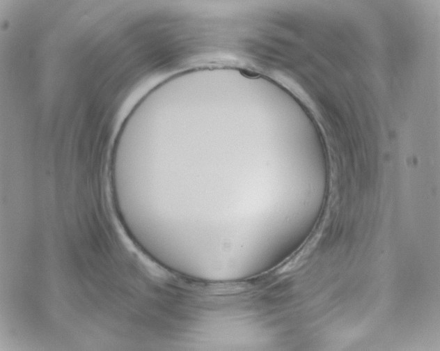 X0000074321440200609152021