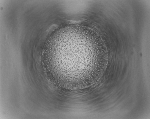 X0000074321441200609152020