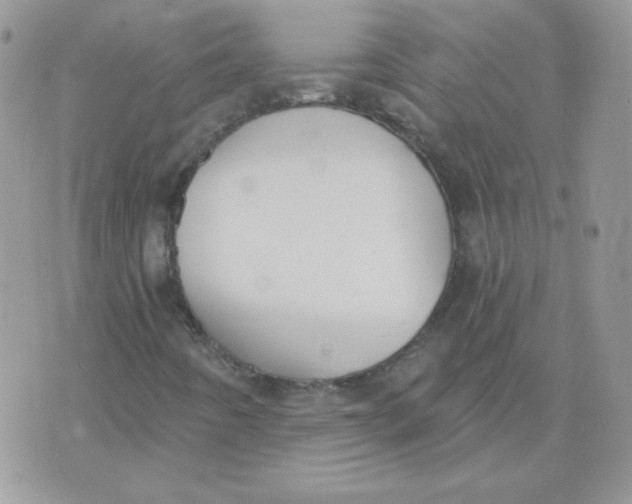 X0000074321442200609152020