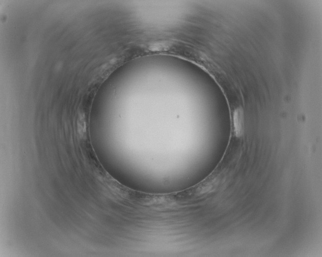 X0000074321443200609152020