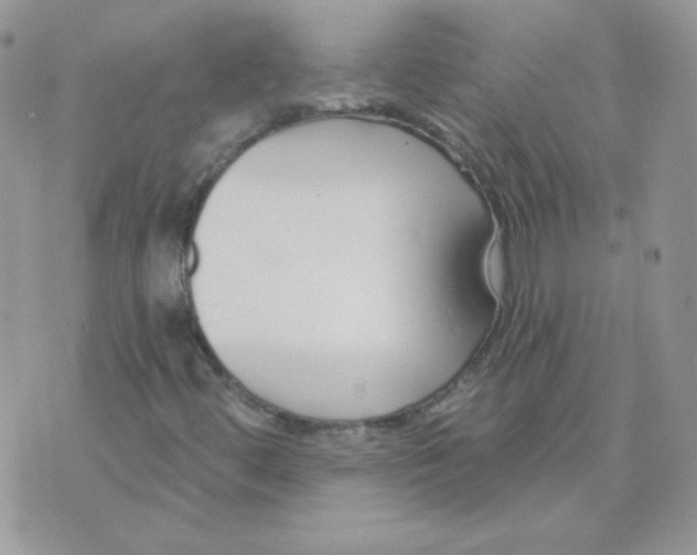 X0000074321444200609152020