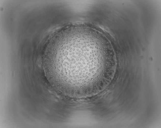 X0000074321445200609152020