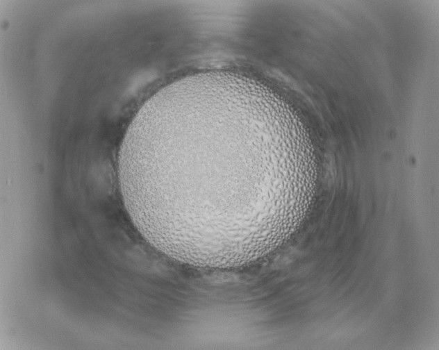 X0000074321446200609152020