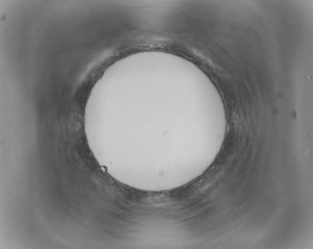 X0000074321447200609152020