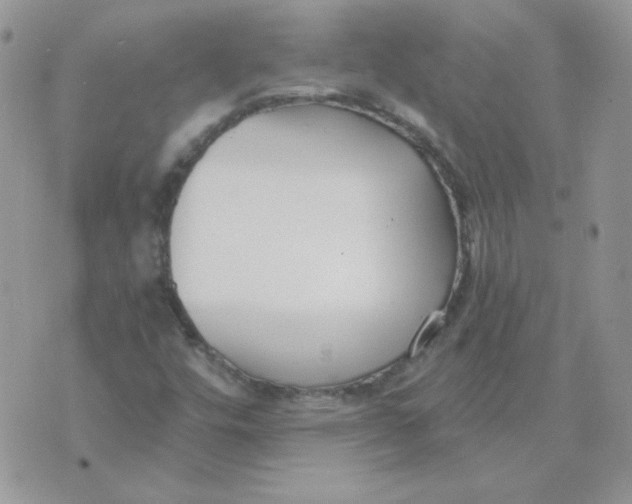 X0000074321448200609152020